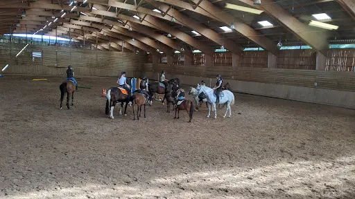 Equilons