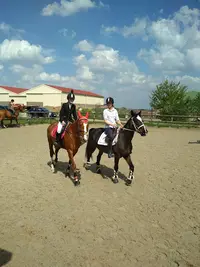 École d'Équitation de la Gohelle