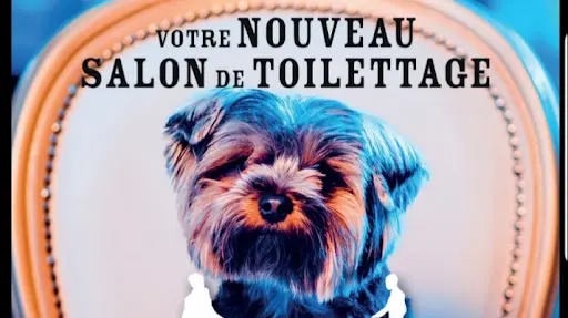 m'And C Signature Toilettage