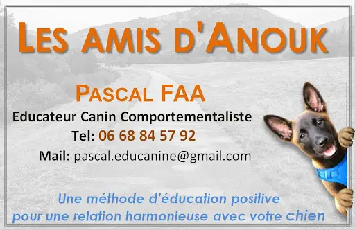 Les Amis d'Anouk - Education - Rééducation Canine