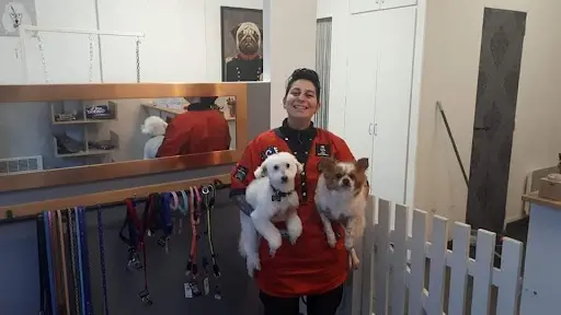 Poppy S Dogs