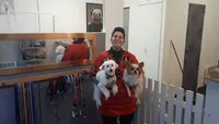 Poppy S Dogs