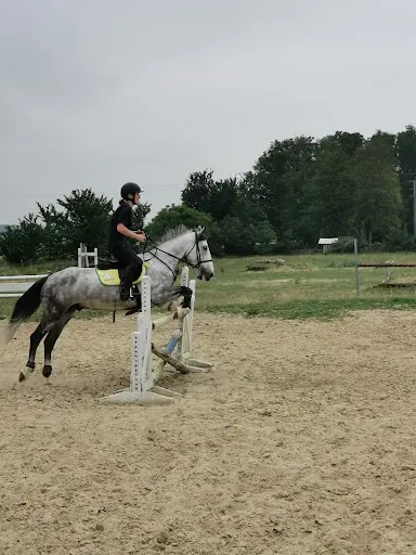 Association Equestre les Poneys