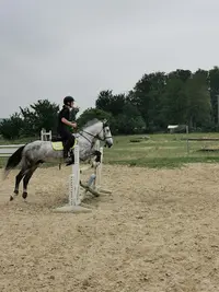 Association Equestre les Poneys