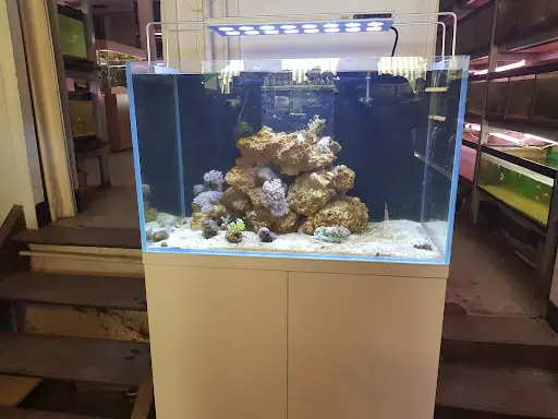 Aquarium et Bassin