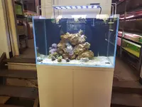 Aquarium et Bassin