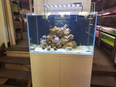 Aquarium et Bassin