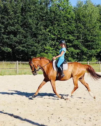 Les Écuries D’urly Pension Pour Chevaux