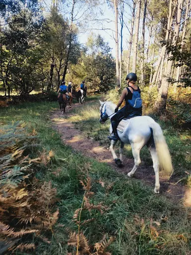 Ecuries de Kerviolo, Centre Équestre,pension Sport et Loisir /guide Randonnée Brocéliande