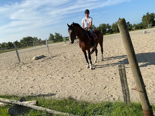 Centre Equestre les Guifettes