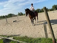 Centre Equestre les Guifettes