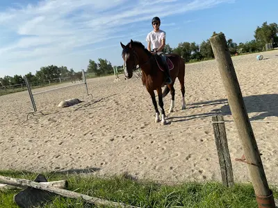 Centre Equestre les Guifettes