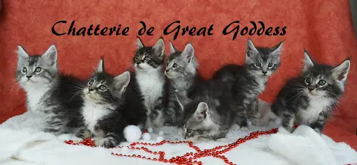 Chatterie de Great Goddess