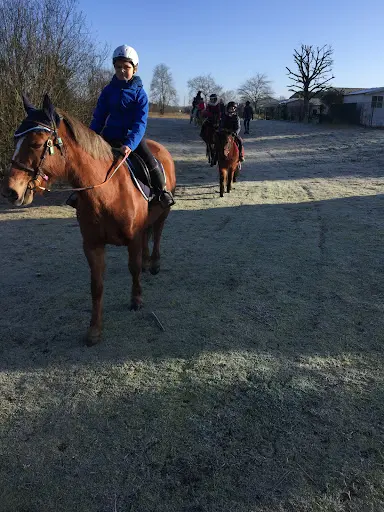 Poney Club de Paloumey