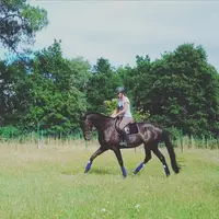 l'Étrier Luganais