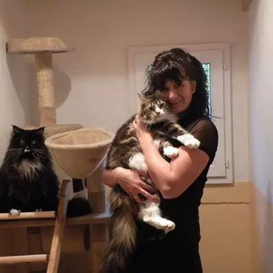 Pension Pour Chats "félin Pour l'Autre"