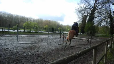 Poneyland