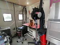 Griffes et Mouss Tâches