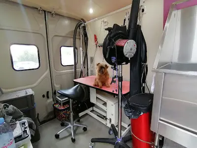 Griffes et Mouss Tâches