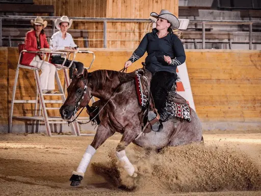 Cm Quarter Horses | Centre Équestre - Reining - Pension - Entrainement