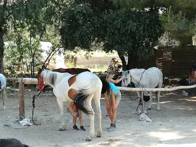 Centre Equestre de Balagne