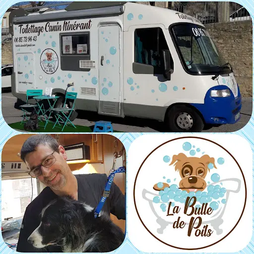 La Bulle de Poils