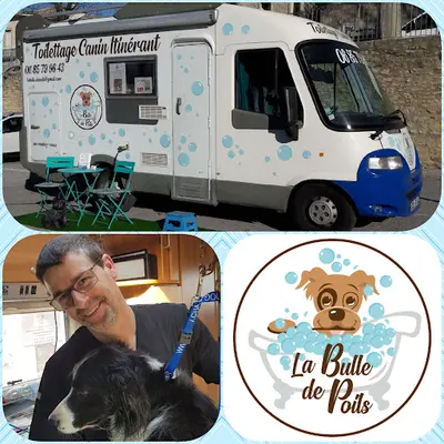 La Bulle de Poils