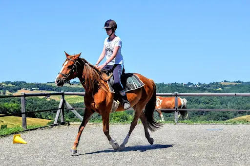 Ferme Équestre de Lupiac