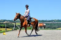 Ferme Équestre de Lupiac