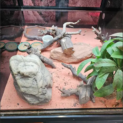 E.leclerc Animalerie
