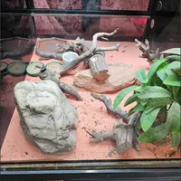 E.leclerc Animalerie