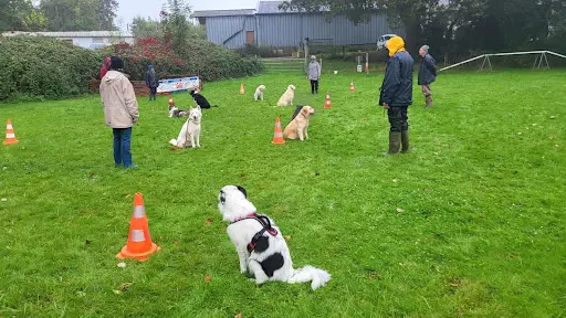 Club Canin Mélusin