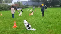 Club Canin Mélusin