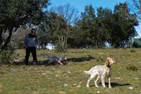 Centre Canin et Éducation Canine Gard - Arnaud Demetre - Dog Earth