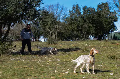 Centre Canin et Éducation Canine Gard - Arnaud Demetre - Dog Earth
