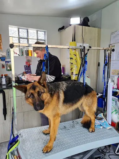 Au Bonheur des Chiens et Cie