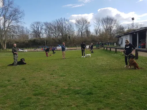 Training Club Canin de Lutterbach