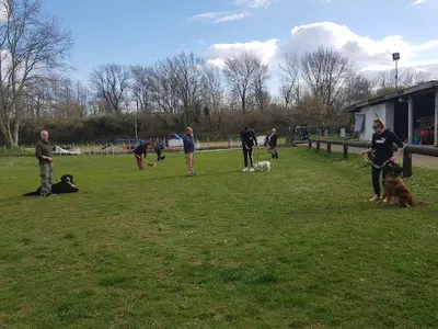 Training Club Canin de Lutterbach