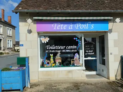 Toilettage Tête À Poil S