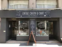 Entre Chien et Chat
