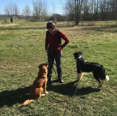 Copains Canins Éducation Canine - Solène Chauvin
