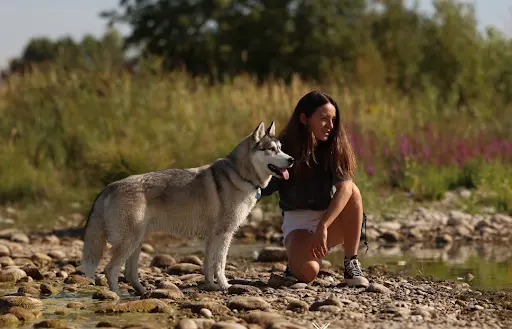 The Way Of Dog - Education Canine