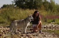 The Way Of Dog - Education Canine