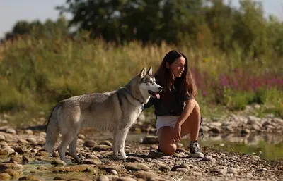 The Way Of Dog - Education Canine