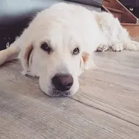 Positive Patt Itude