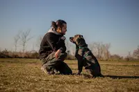 Chiens et Compagnie Educateur Canin Comportementaliste
