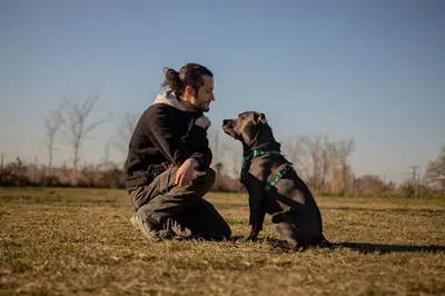 Chiens et Compagnie Educateur Canin Comportementaliste