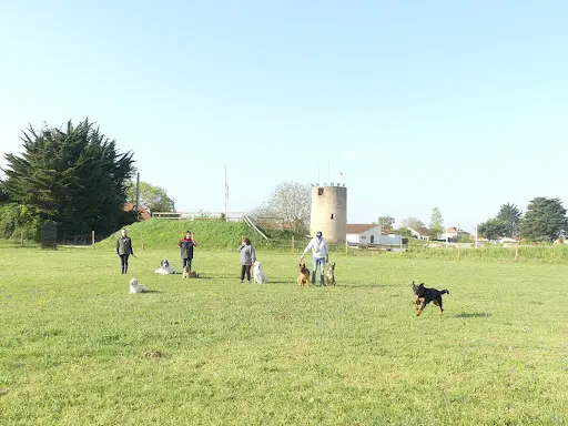 Club Canin Machecoulais