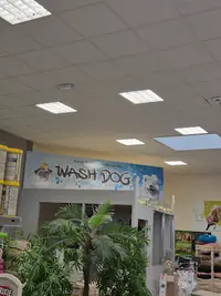 Cap Animal Mâcon