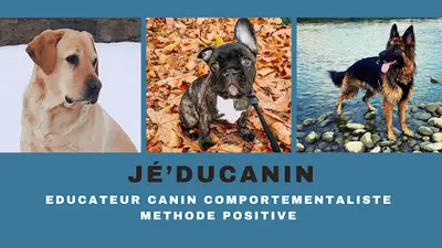 Jé Ducanin